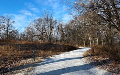 My 8 Favorite Places to Take Bird Pictures at Rockefeller State Park Preserve