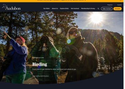 Three people birdwatching with binoculars in a scenic outdoor setting.