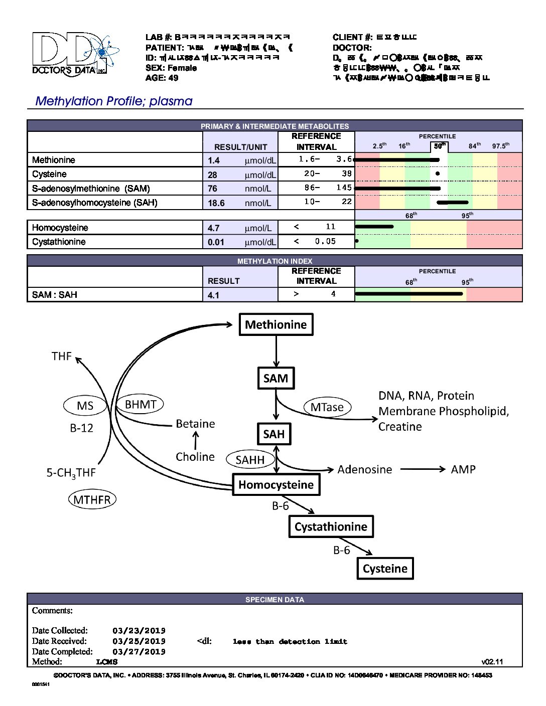 Methylation Profile - Image 2