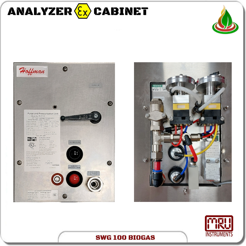 SWG 100 BIOGAS EX Cabinet 03