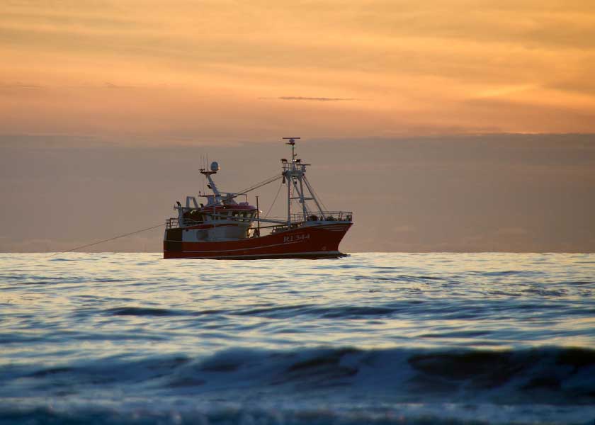Se det smukke syn af rejekutteren sejle i aftenlyset, hvor solen langsomt går ned i horisonten. Oplev roen og roen i havet, mens du læner dig tilbage og nyder den betagende udsigt.