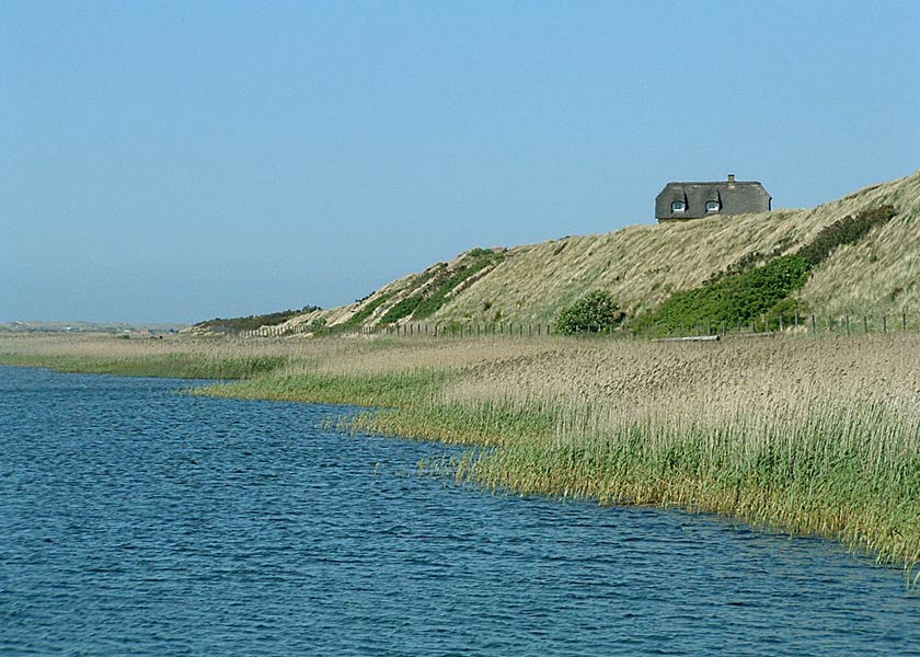 Vandet står højt i sydenden af Ringkøbing Fjord, der er frisk vind og vandet presses mod land