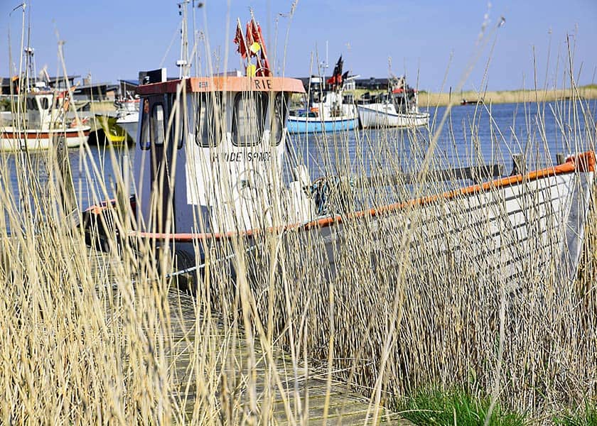 Tyskerhavnen i Hvide Sande - fiskeren lille kutter ligger godt skjult i sivene