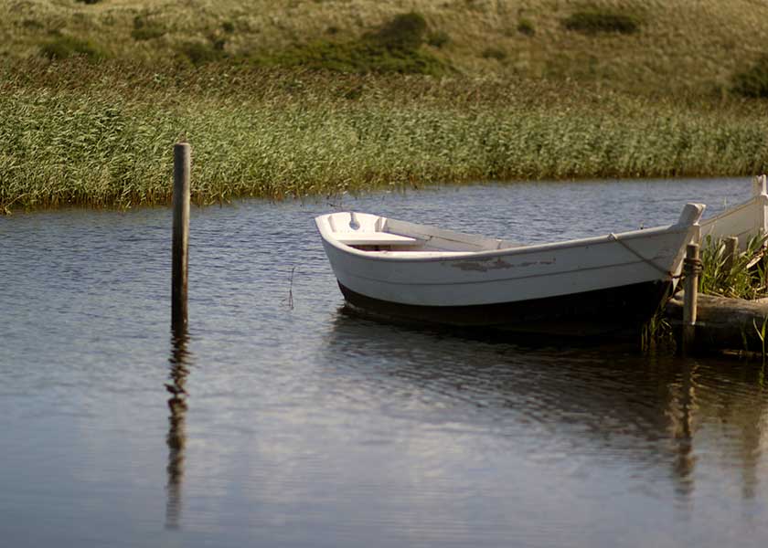 Pram fortøjret i den smukke lille havn ved Nymindegab som er placeret i mellem sivene langs Ringkøbing fjords bredder