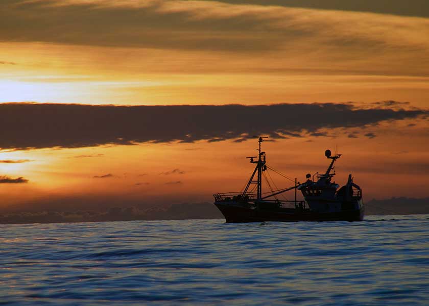 Oplev skønheden i aftenlyset, når du sejler ud på havet på rejekutteren. Nyd havbrisen, lyden af bølgerne og stjernerne på himlen.
