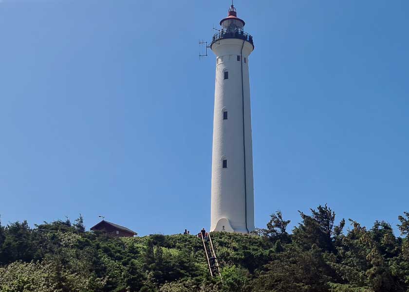 Lyngvig Fyr tegner sig flot og ny-kalket mod den dybblå sommerhimmel beliggende på den grønne fyrhøj