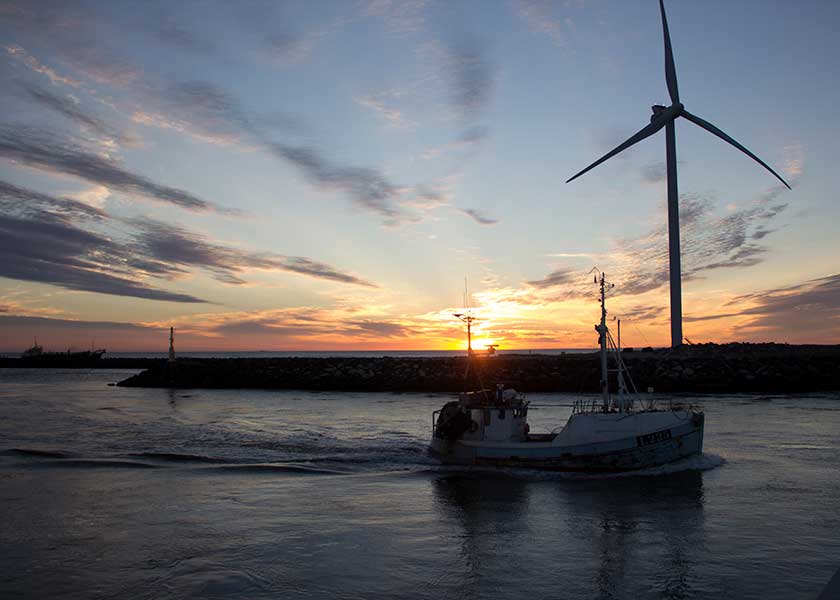 Indsejlingen i Hvide Sande på en stille sommeraften, kutterne kommer i havn efter dagens fiskeri på nordsøen