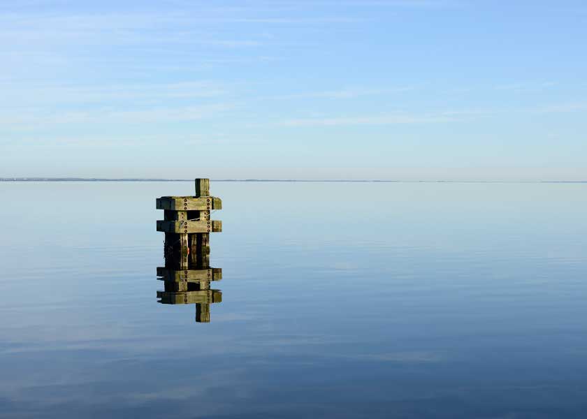 Ringkøbing Fjord fremstår på denne dag absolut spejlblank, hele scenen emmer af ro og sommer