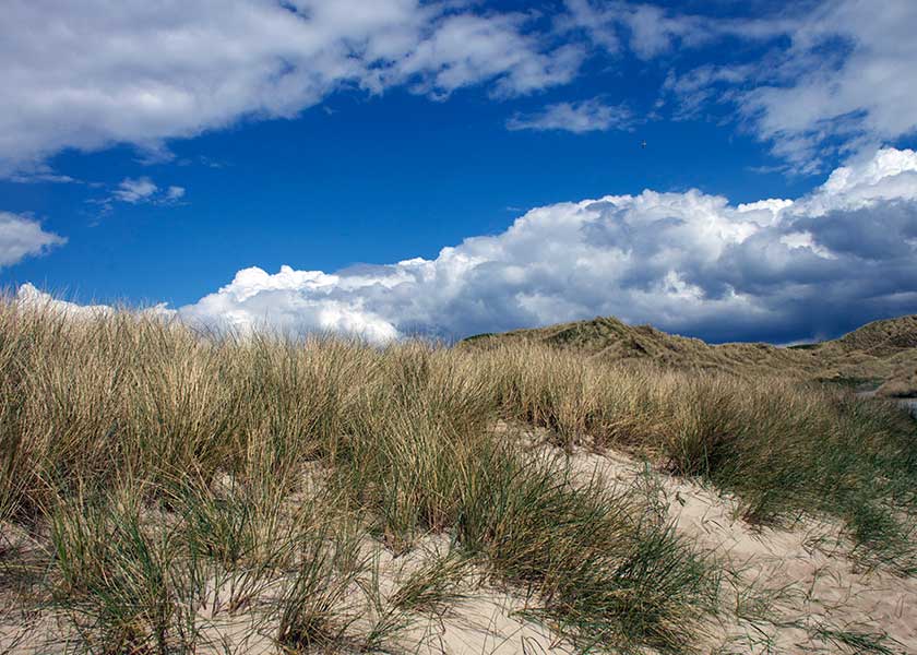 De grønne og hvide klitter med deres sand og hjelme danner en smuk ramme for den dybblå himmel med de tunge hvide skyer på en sommerdag