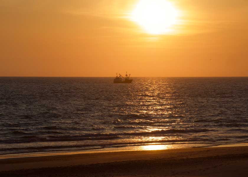 En rejekutter er på vej på nattens fiskeri i den nedgående sol, havet er roligt og alt er badet i de fantastiske orangerøde nuancer