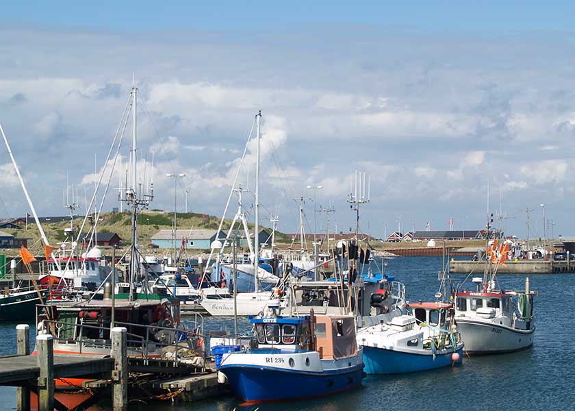 Sydhavnen i Hvide Sande hvor de mindre joller holder til inden de atter skal på havet for at fiske igen