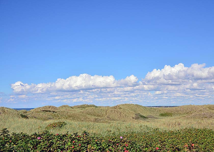 Høj himmel over klitterne, de tunge cumulus skyer trykker sig mod horisonten på den flotte sommerdag