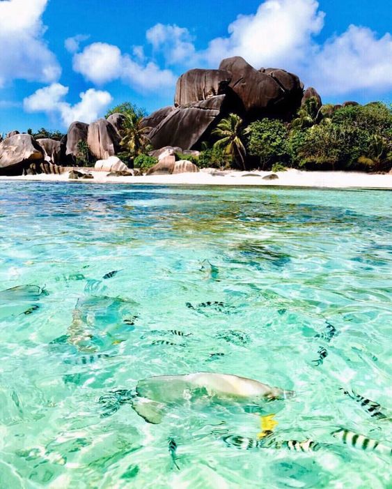 La Digue Island in the Indian Ocean