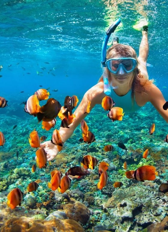 Snorkelling in the Indian Ocean