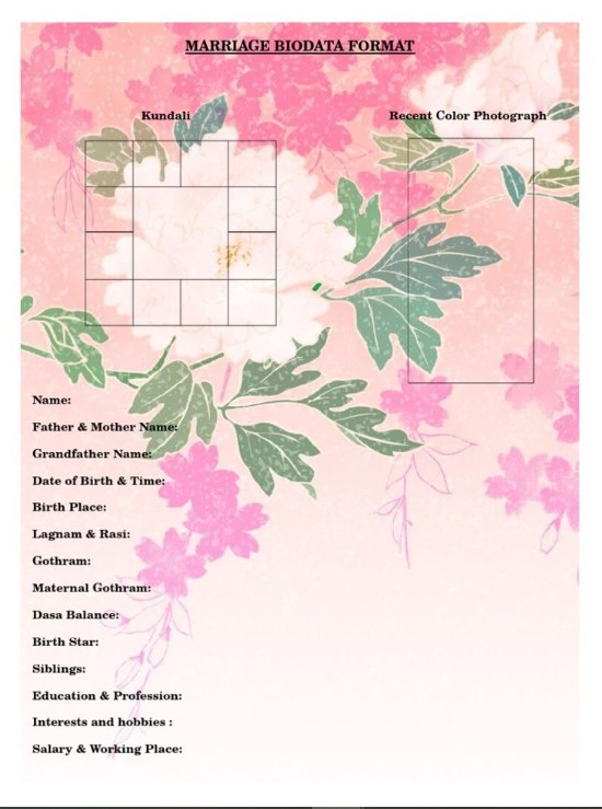 make Marriage Biodata