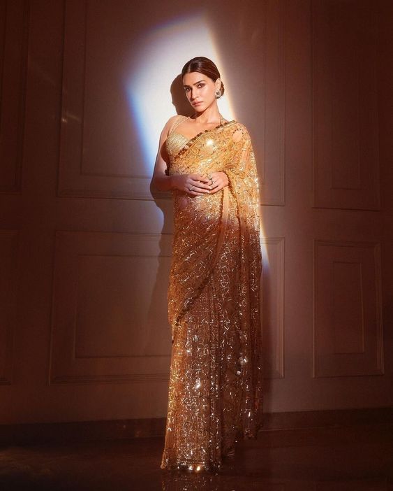 Tussar Silk Saree in Net Fashion