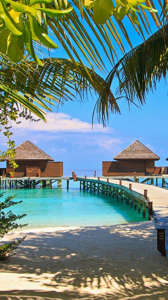 10 Activities you can do with Maldives Honeymoon Package for 7 Days: