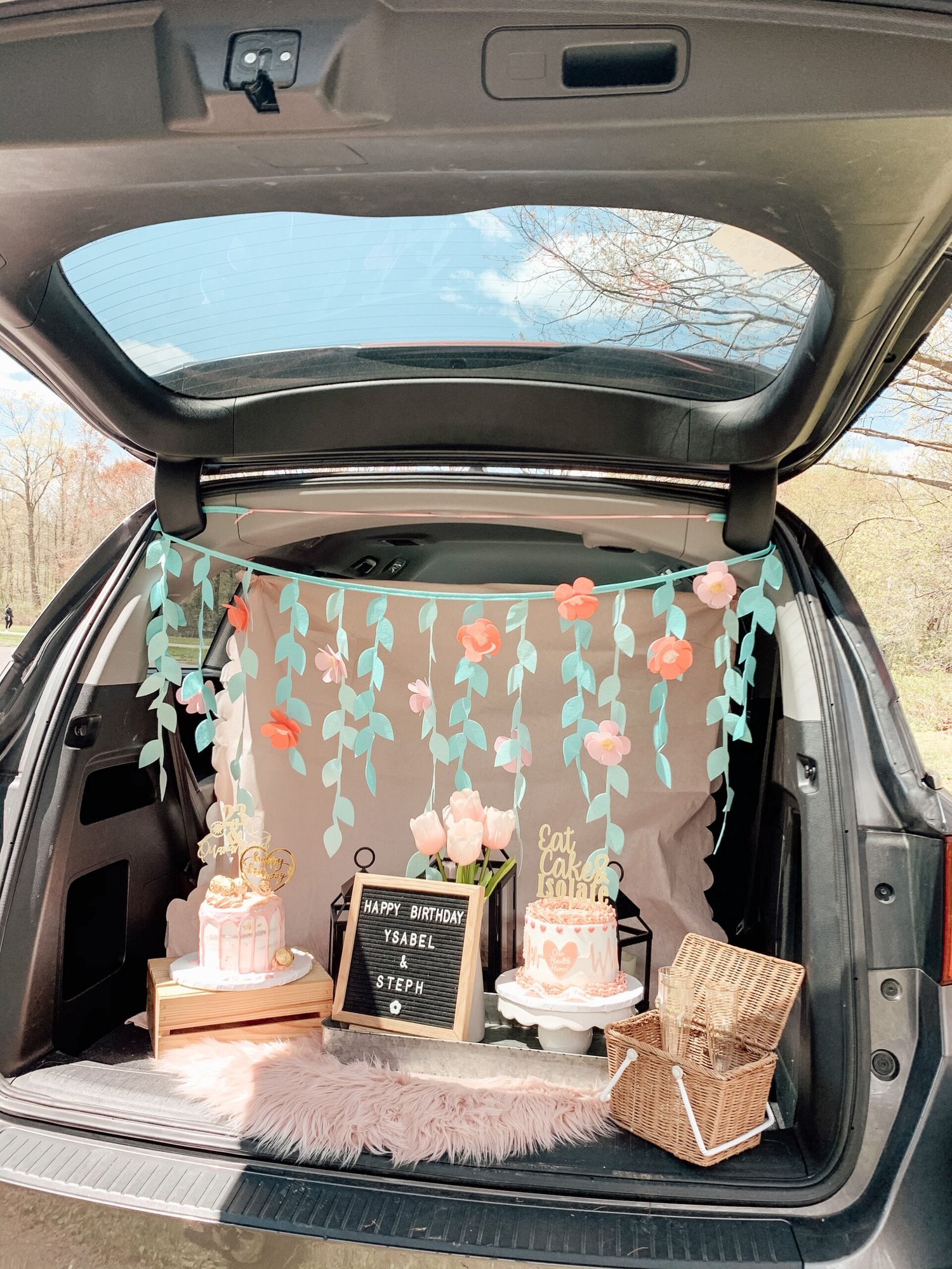 Sunday Picnic Car Decoration for Birthday