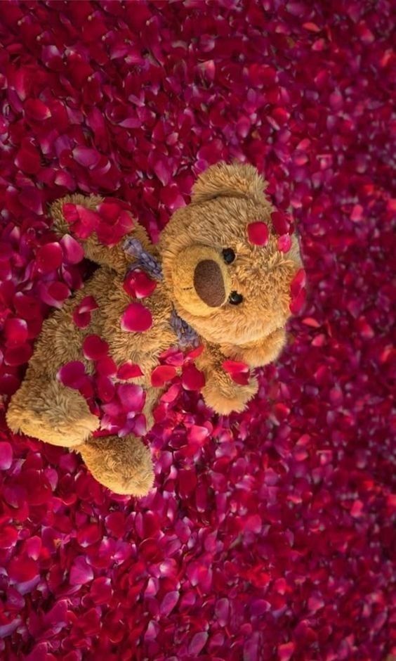 50 Happy Teddy Day Wishes & Messages for your LOVE 50 Happy Teddy Day Wishes & Messages for your LOVE