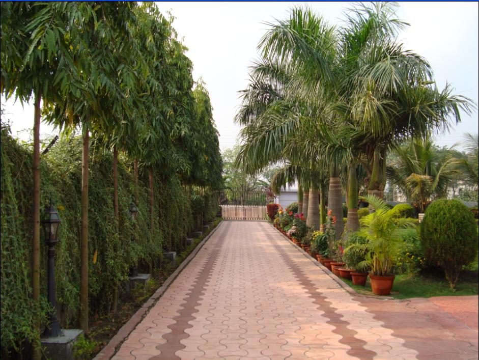 JMS villa and Garden JMS villa and Garden