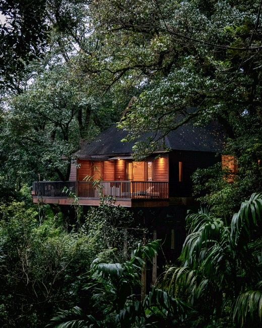 Coorg Honeymoon Packages with a stay at Tamara Coorg