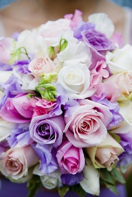 Multi-Coloured Roses