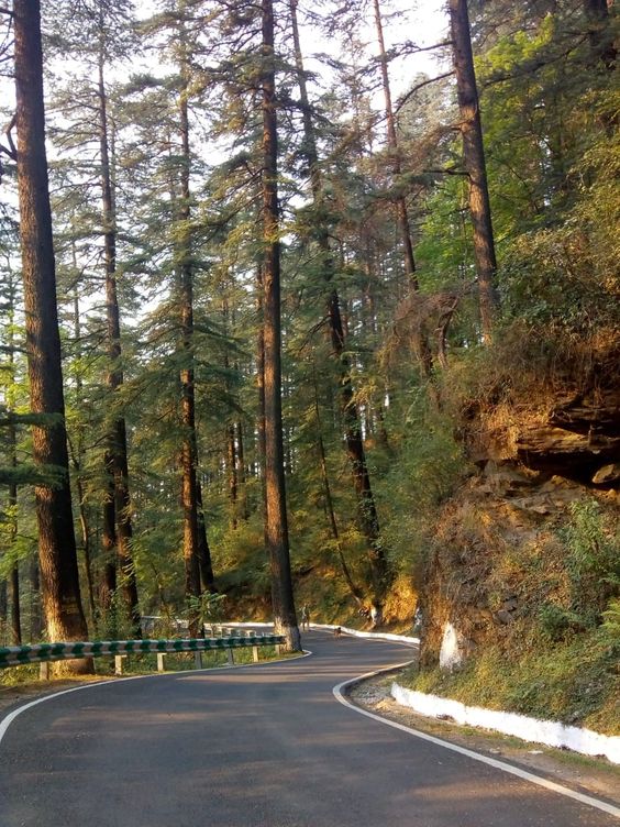 Romantic Walks in the Nainital Honeymoon Tour Package