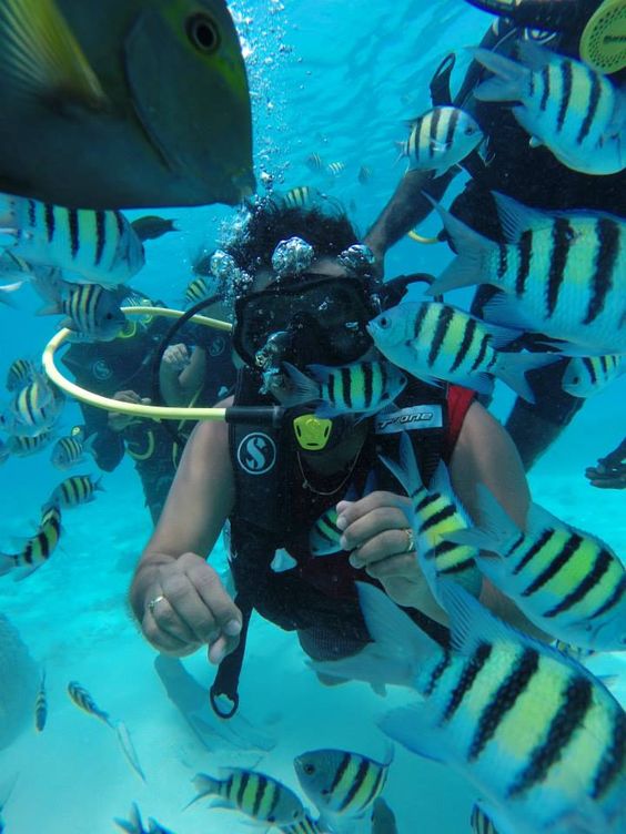Deep Sea Diving  in the Arabian Sea