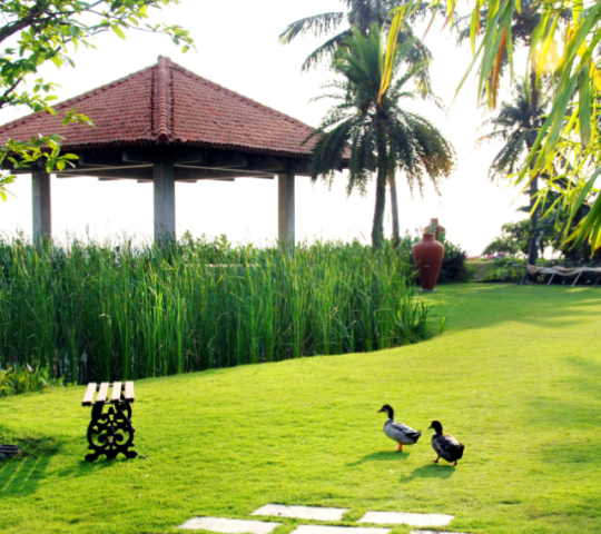 myMandap 1446 Destination Wedding Resorts in Manali myMandap 1446 Destination Wedding Resorts in Manali