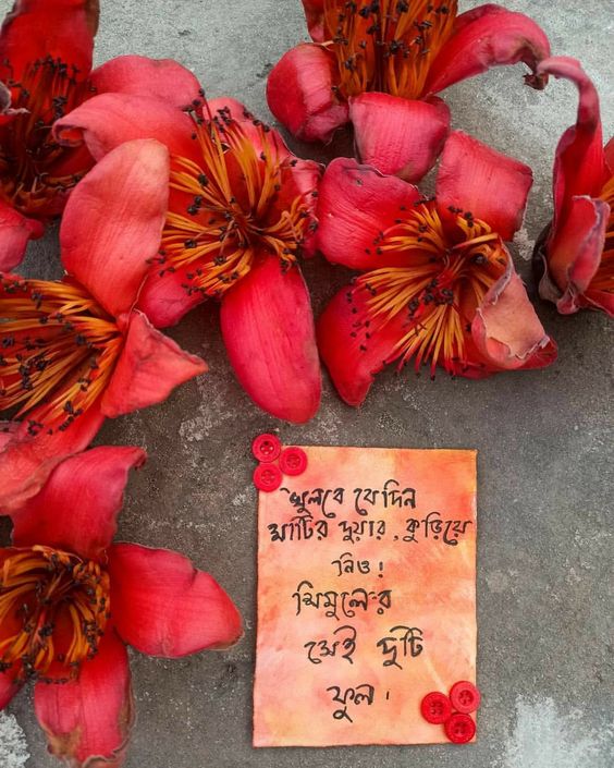 Short Bengali Caption