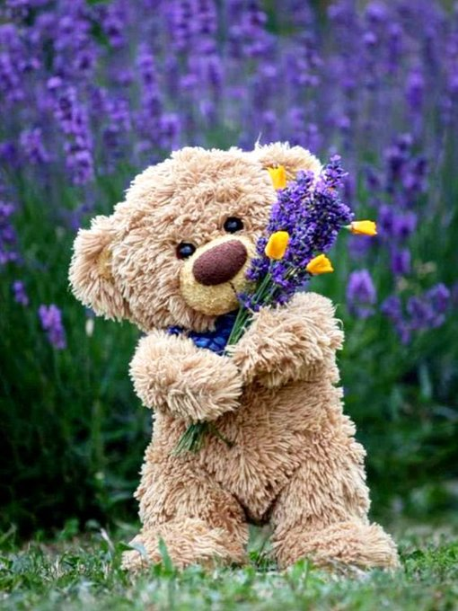 teddy bear with flower