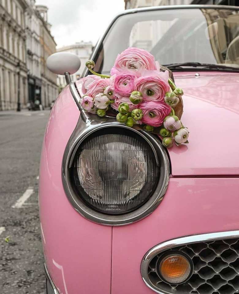 11 Stunning Ideas for Wedding Car Decorations Under ₹5000 11 Stunning Ideas for Wedding Car Decorations Under ₹5000