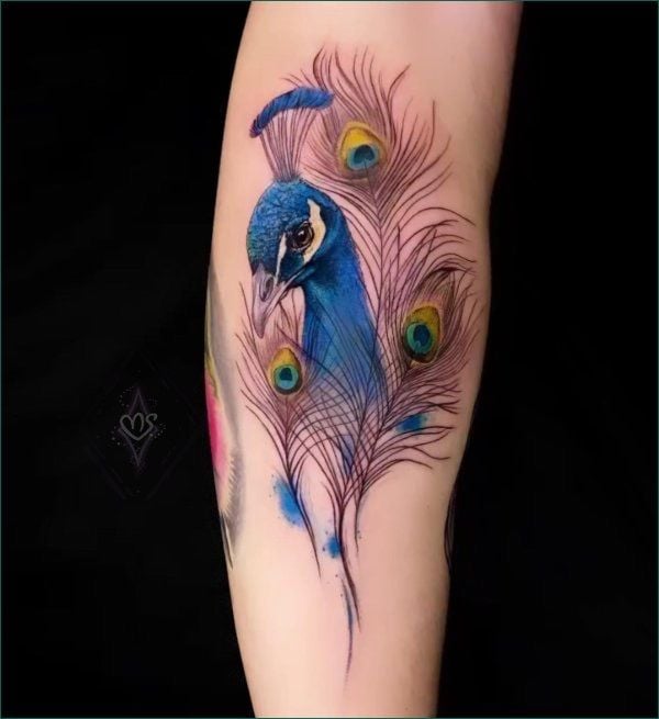 Peacock Feather Tattoo Design