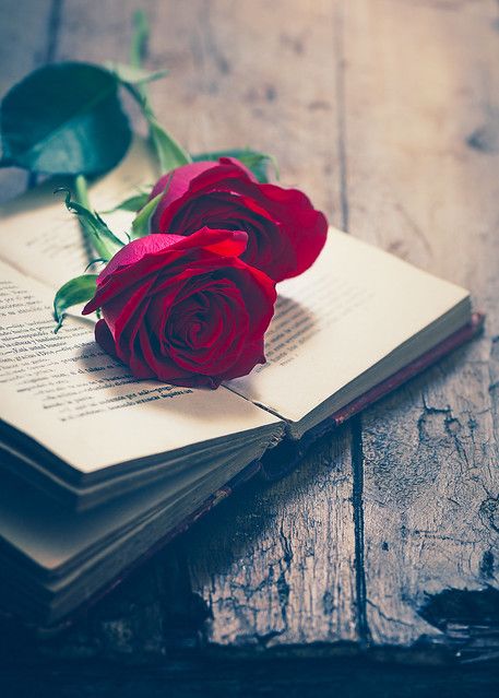 Red Roses
