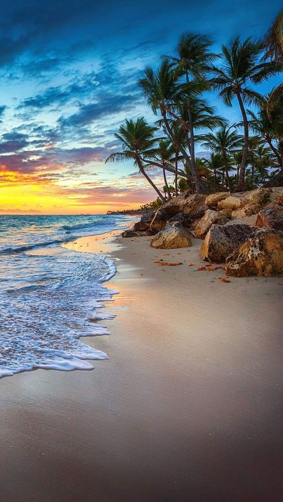 Top Lakshadweep Honeymoon Packages: 12 Places you Need to See Top Lakshadweep Honeymoon Packages: 12 Places you Need to See