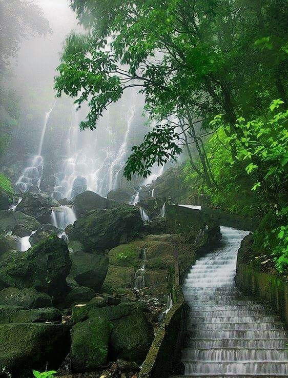 Iruppu Falls Holiday Package