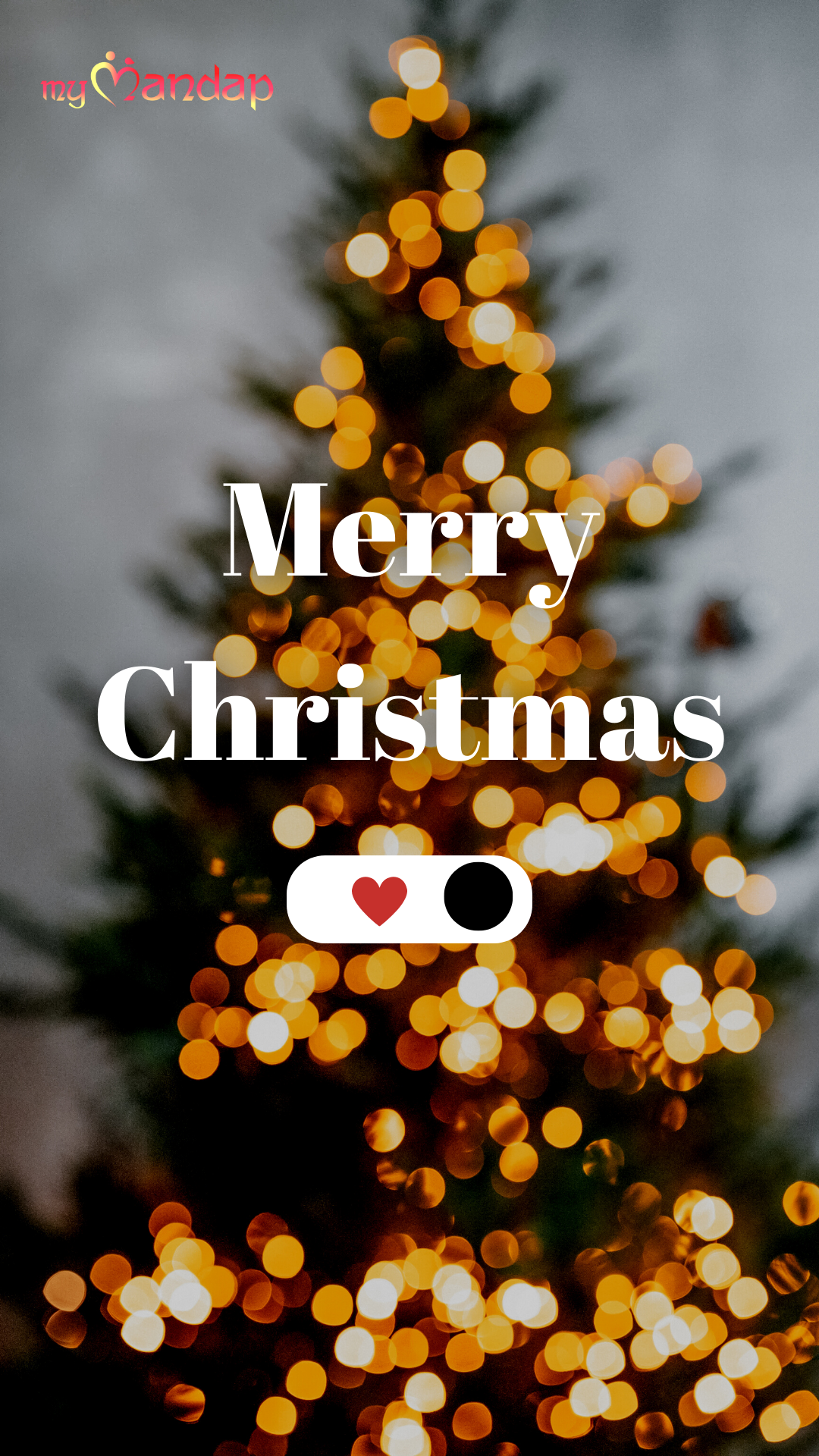 Top 20 Happy Christmas Wishes for Friends and Family