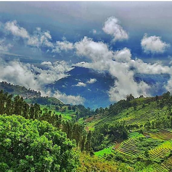 Get the Best Kodaikanal Honeymoon Package with 15 Spots you have to Visit Get the Best Kodaikanal Honeymoon Package with 15 Spots you have to Visit