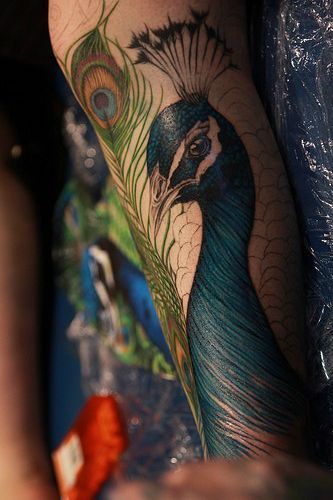 Top 15 Mor Pankh Tattoo Meaning