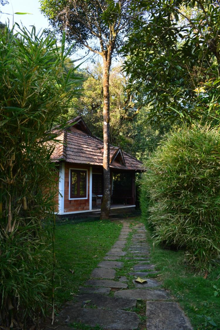 What is the Cost of Hosting your Coorg Honeymoon Packages: