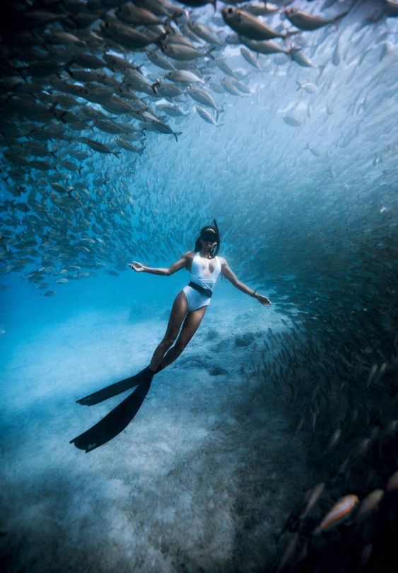 Marine Life Adventure with Scuba Diving