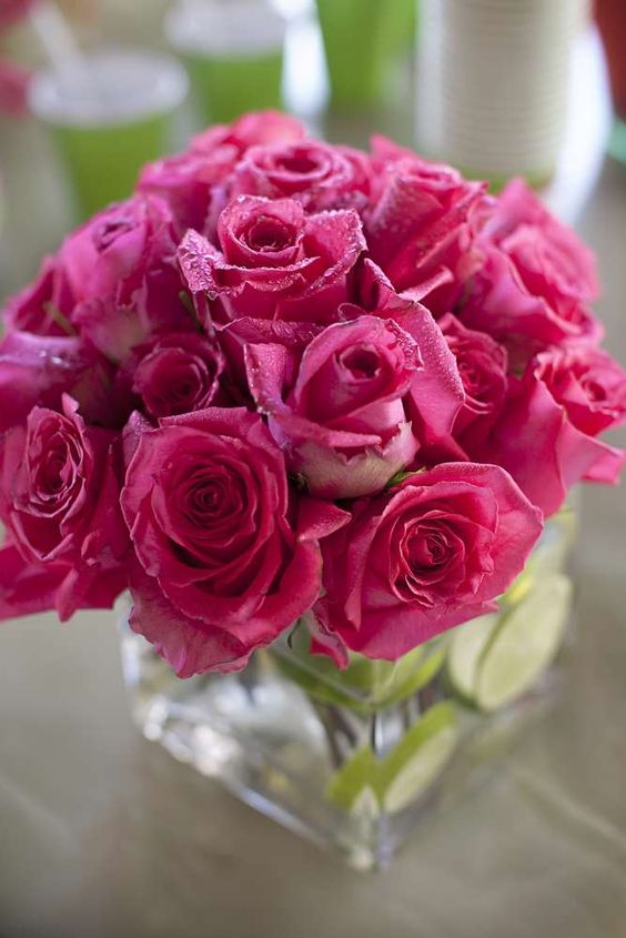 Pink Roses
