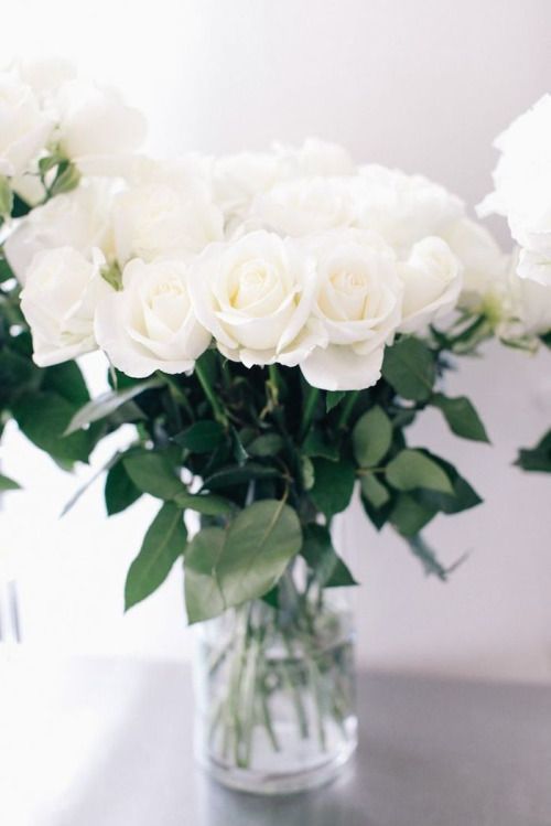 White Roses
