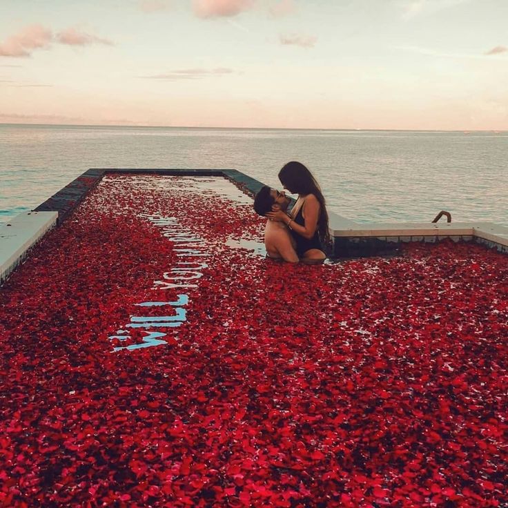 Once you get Proposal Quotes just make a choice