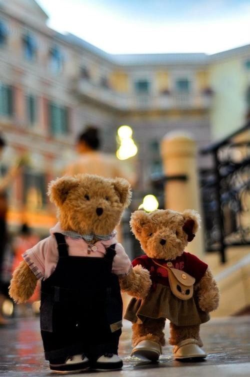 Teddy Bear With funny dress
