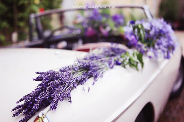 Wedding car decoration
