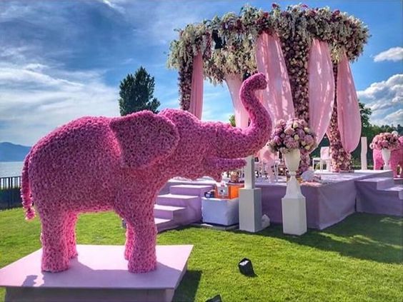 Fiestro Events Wedding Planner in Jaipur