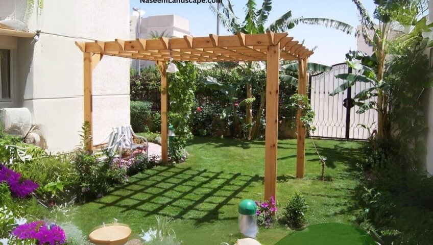 كيف تحول حديقتك المنزلية إلى واحة خضراء ساحرة؟ - العناية اليومية بالحديقة