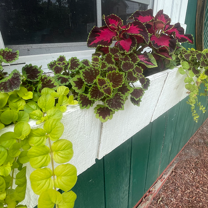 netherwood-63 netherwood tennis club clubhouse