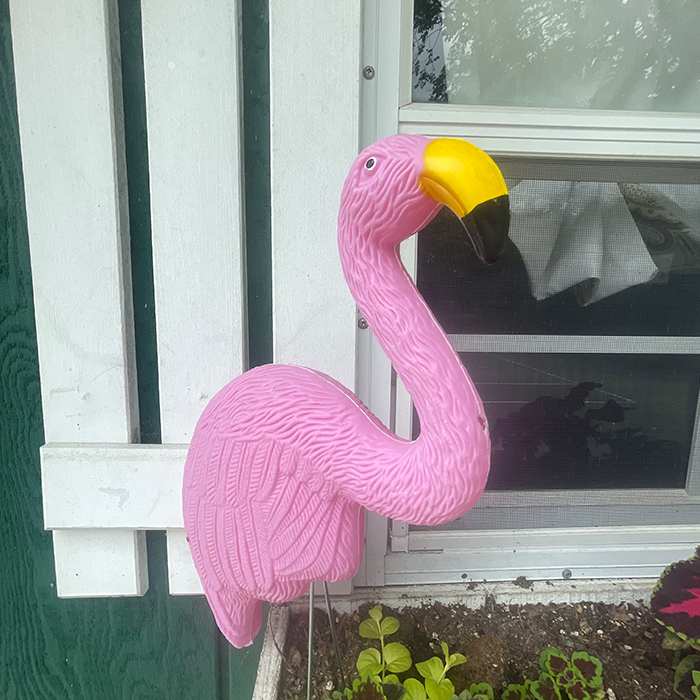 netherwood-64_ netherwood tennis club